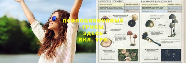 mix Алзамай